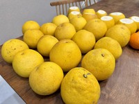 大人買い！（なみそさん提供）