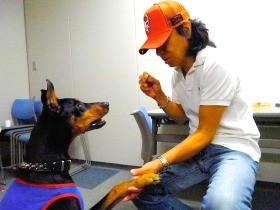 「犬や猫、すべての命の基本権を守って」　世良公則さんに聞く