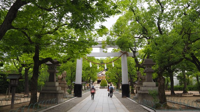 たくさんのクスノキに守られているような湊川神社。参道の先に社殿がある