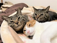 和海ちゃんは福助くんと幸愛ちゃんが大好き！