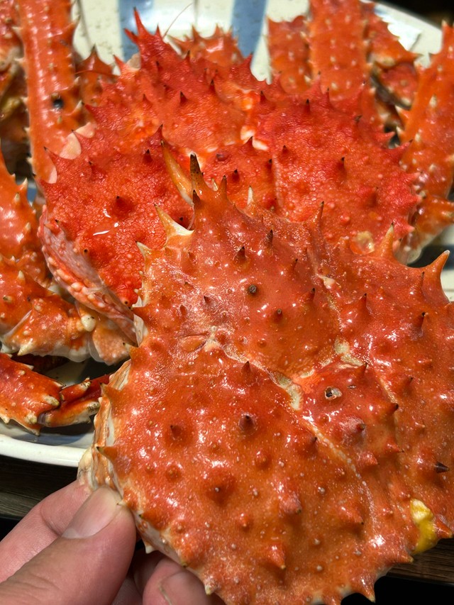 脱皮中だった？二重の甲羅／杉谷龍一さん（@kitaboshi_）提供