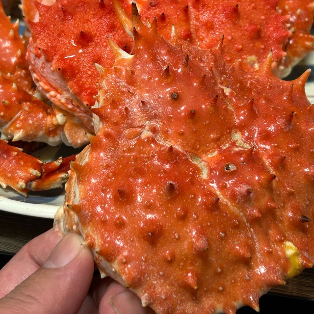 脱皮中だった？二重の甲羅／杉谷龍一さん（@kitaboshi_）提供