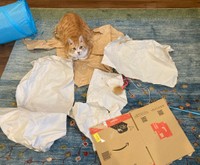 片付けたいけど、片付けられない･･･