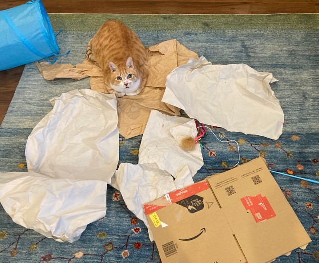 片付けたいけど、片付けられない･･･