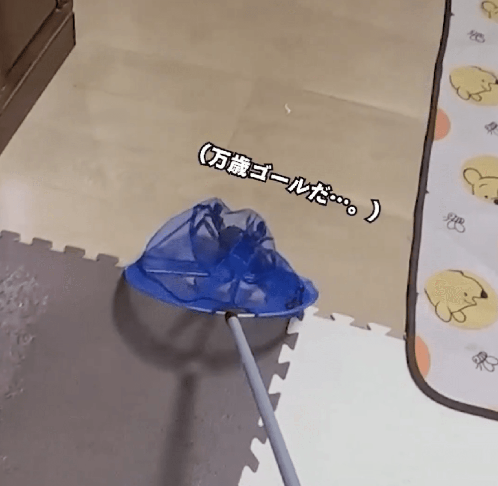 こちらも捕獲成功