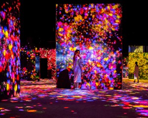 MORI Building DIGITAL ART MUSEUM: EPSON teamLab Borderless