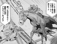 シンガリ人気のアカギファルコが無敗のパルメニオンを下し、場内は悲鳴となった（高草木こぶさん提供）