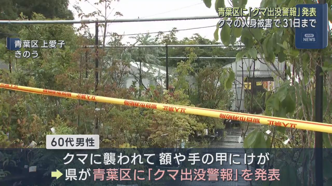 仙台・青葉区に「クマ出没警報」　園芸店の男性従業員が襲われた被害受け