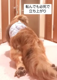 転んでも必死で立ち上がり、ふらふらになりながら頑張ったという（なほさん提供、Instagramよりキャプチャ撮影）