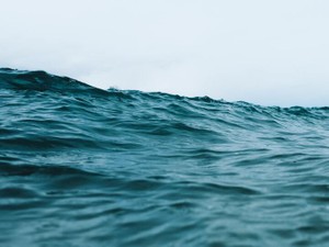 ネットの海でもう会えないあの人を思い出す。泣きじゃくりながら配信した夜