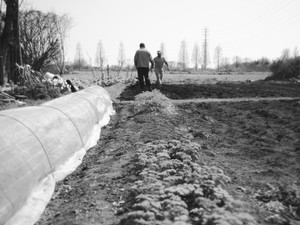 スマートさと真逆の世界を描く「ザラザラ感の濃い本」を読む　京都大学人文科学研究所准教授・藤原辰史さん