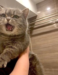 浴室に入っただけで「嫌だ！」と大騒ぎしたひまりちゃん