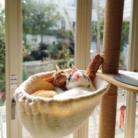 まったり幸せなひととき