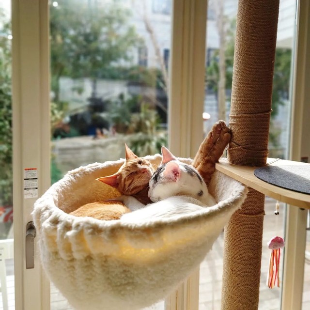 まったり幸せなひととき