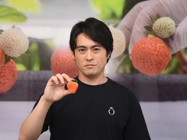 米ニュージャージー州にあるOishi Farm本社で、自社工場で育てたイチゴを手にする古賀大貴さん。部屋に甘い香りが漂った