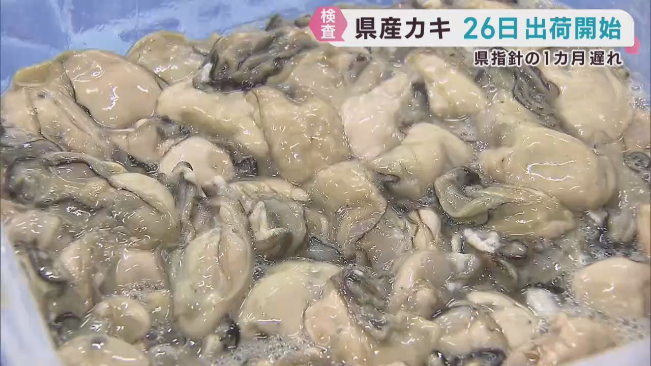 生食用カキ　宮城県は指針より１カ月遅れの１０月２６日に出荷開始