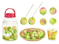 初めてでも簡単な梅酒づくり※画像はイメージです（newmin/stock.adobe.com）