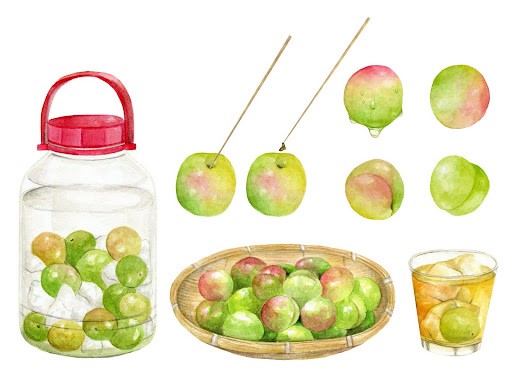 初めてでも簡単な梅酒づくり※画像はイメージです（newmin/stock.adobe.com）