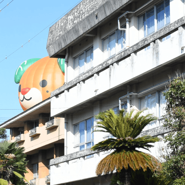 進撃のみきゃん！？建物の上から養生で驚き（画像提供：もふもふ愛媛さん）