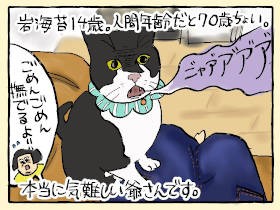 「かわいい」はオレの代名詞　気難しいじいさん猫「岩海苔」、ナルシストへと進化