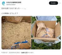 かながわ海岸美化財団公式Xの投稿