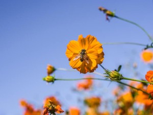 「ふるさと」の定義は自由だから、私には幾つもの「ふるさと」がある