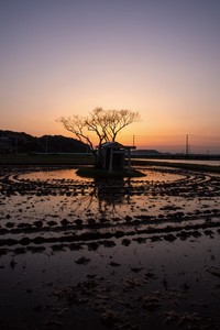 夕焼けをバックにしたポツンと神社／えぬびいさん（@enuenuenubi）提供