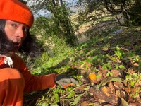 収穫もクマの気配の中