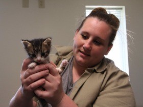 猫の命を救い、受刑者の心の回復も後押し　米刑務所で保護猫ケア