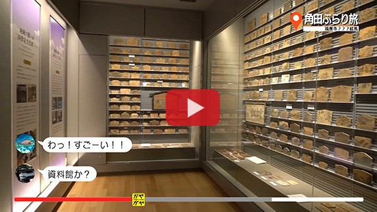 #323角田ぶらり旅③福應寺 むかで絵馬