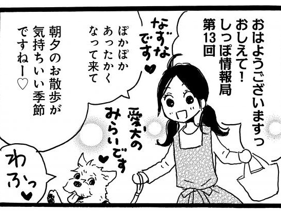おしえて！しっぽ情報局 vol.13