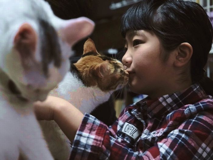 猫たちも渚美ちゃんが好き