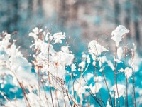 「今さらそんなの言っても遅い」とかヤメタイ。私は今を生きている