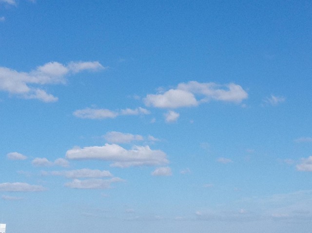 画像はイメージです