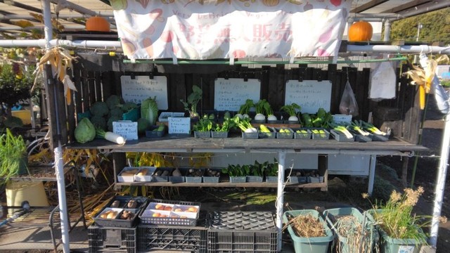 たくさんの野菜や果物を販売しています。 ※旅人さん提供