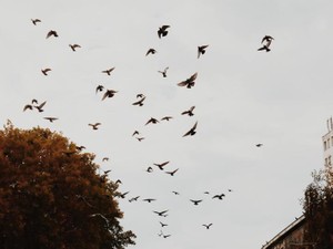 1日3食もやし生活。続けるうちに生じた口の中の「苦み」と失ったもの