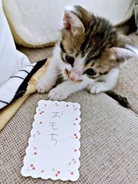 命名「おもち」くん（画像提供：おもちくん）