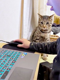 お兄ちゃんがパソコンゲームをしているのを見つめるzozoくん（画像提供：zozoさん）