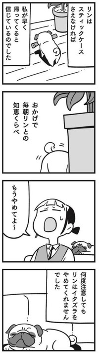 【漫画】『犬が伝えたかったこと（リン）』8（しろやぎ秋吾さん提供）