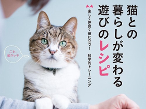 猫の投薬、「お手」も簡単？！　科学的なトレーニング