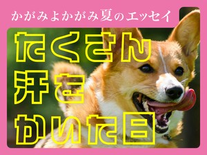 たくさん汗をかいた日