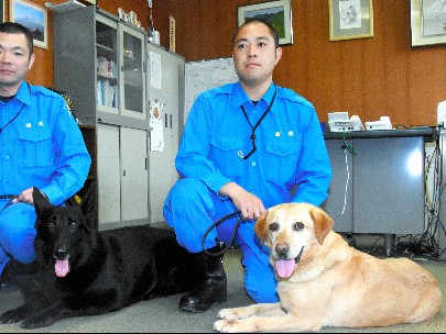 警察犬アリスとリン、不明の子どもを発見！　靴のにおい手がかり