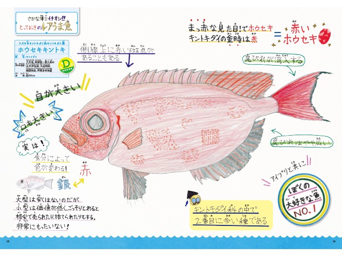 さかな博士のレアうま魚図鑑 これぞ海の恵みの 珍味 好書好日