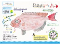 【希少本】美味しいマイナー魚介図鑑 美味しいマイナー魚介図鑑 | マイナビブックス