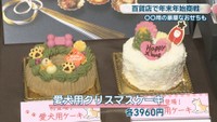 愛犬用クリスマスケーキ　各3960円