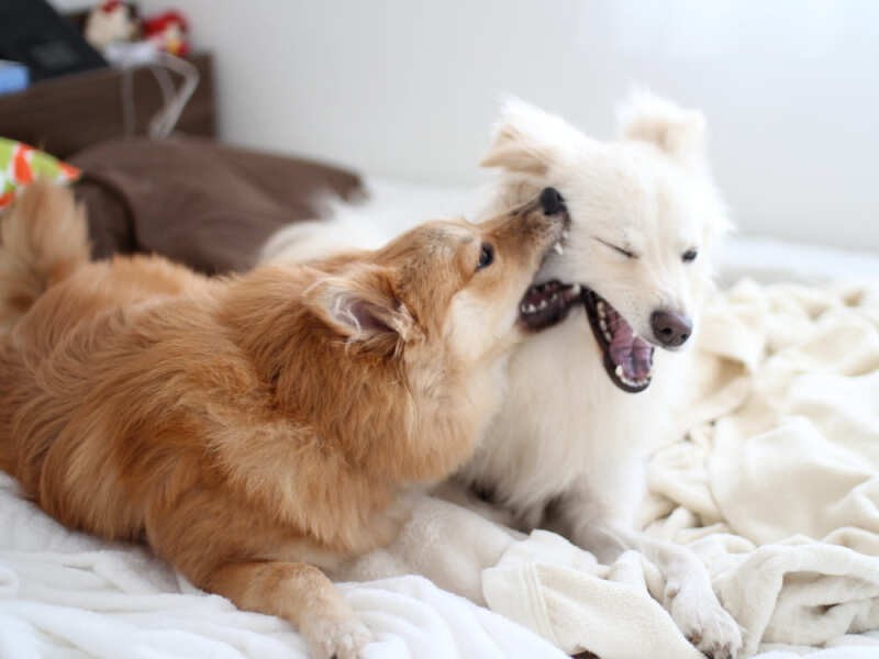 それは今でも変わらない