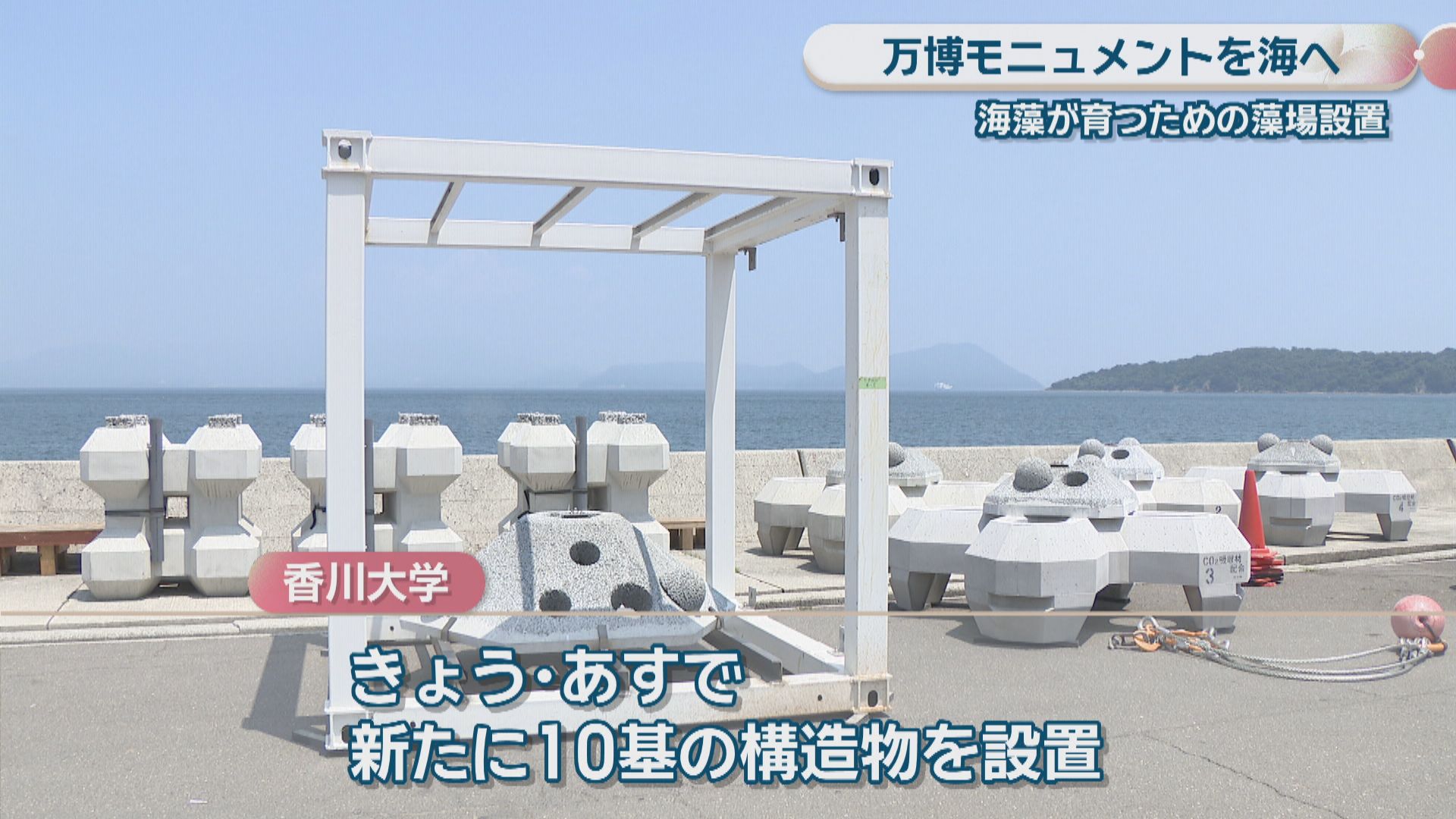 海藻育てる構造物を海に設置 大阪・関西万博のモニュメントも活用 高松