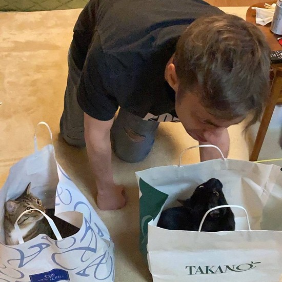 ２匹の１歳の誕生日、ヨーコさんの夫stuartさんと見つめあうヤソ次郎。体重を計るとパリ（左）は4.2 ㎏、ヤソ次郎は4.8㎏だった（シロミさん提供）