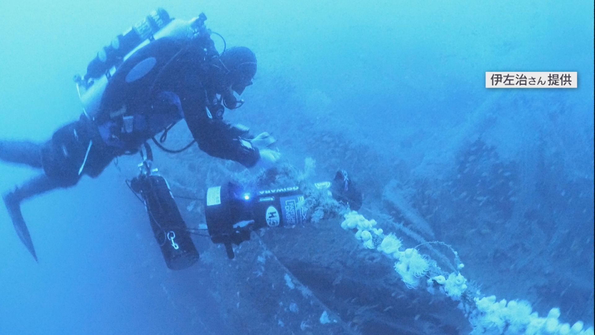 82年前に天草沖に沈没した軍艦「長良」初の有人調査で撮影に成功（6