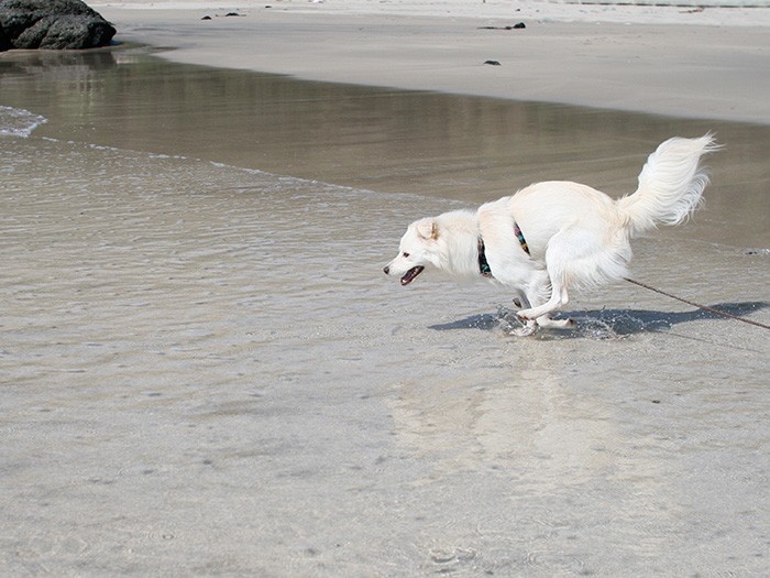 昔は海にも喜んだ（今は興味なし）